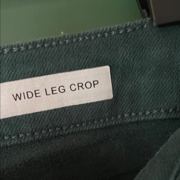 Judy Blue Wide Leg Crop Womens 11/30 Teal Green Exposed Button Fly Raw Hem Jeans - Picture 3 of 9